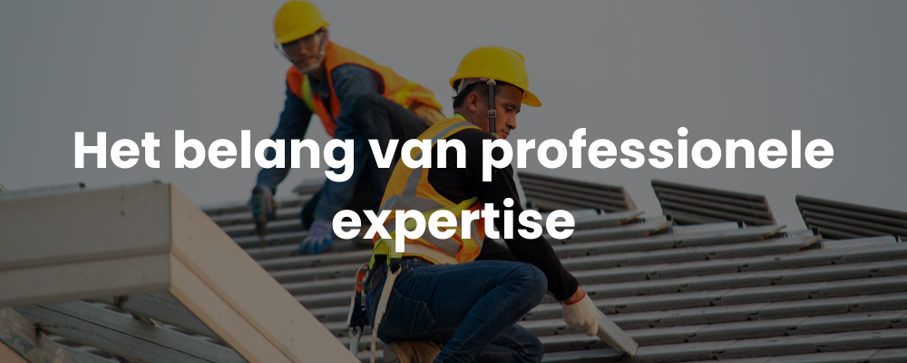 Het belang van professionele expertise