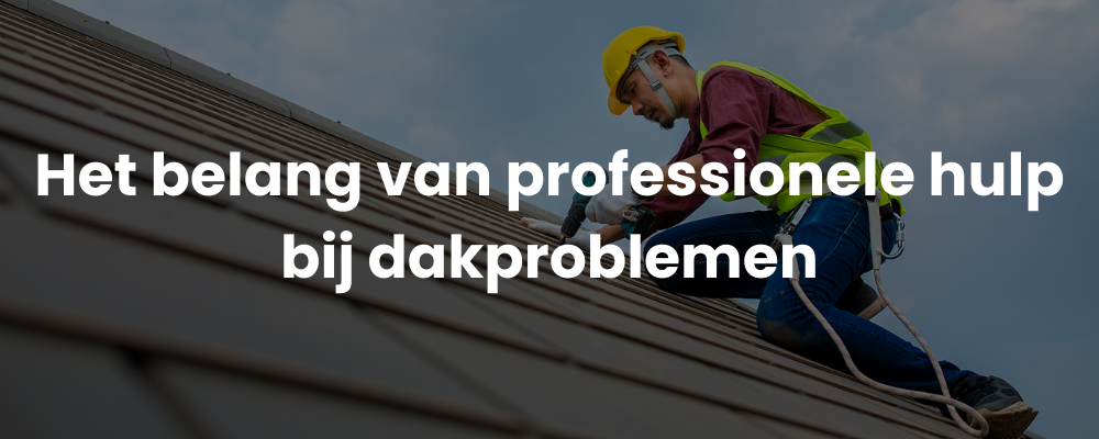 Het belang van professionele hulp bij dakproblemen Het belang van professionele hulp bij dakproblemen