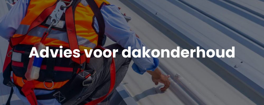 Advies voor dakonderhoud