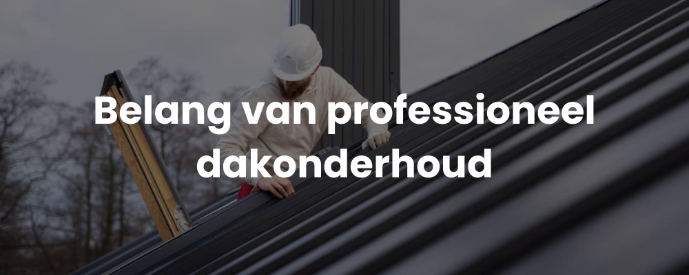 Belang van professioneel dakonderhoud