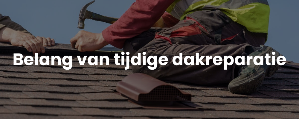 Belang van tijdige dakreparatie