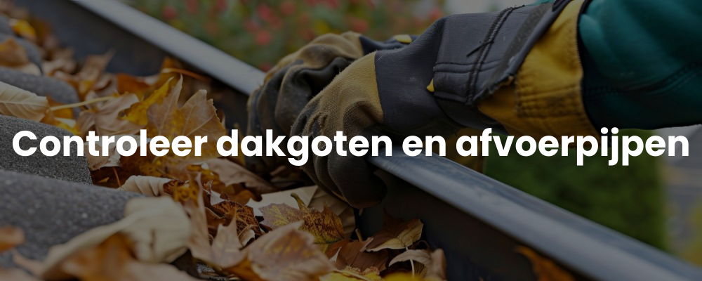 Controleer dakgoten en afvoerpijpen Controleer dakgoten en afvoerpijpen