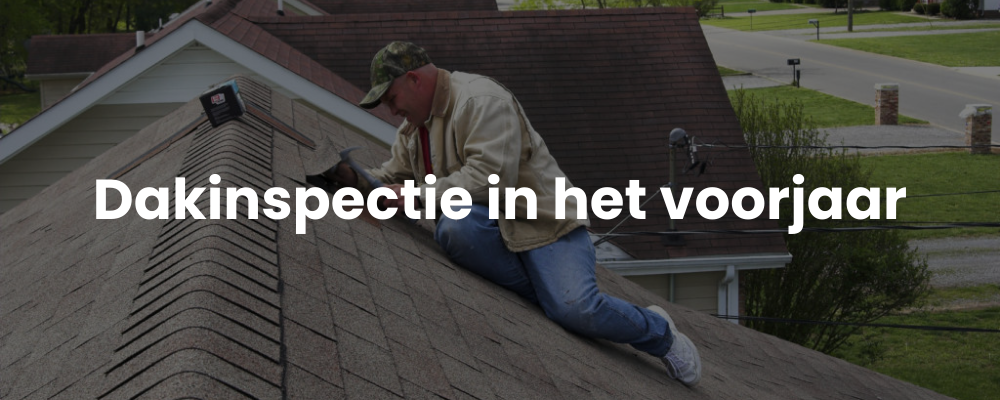 Dakinspectie in het voorjaar Dakinspectie in het voorjaar