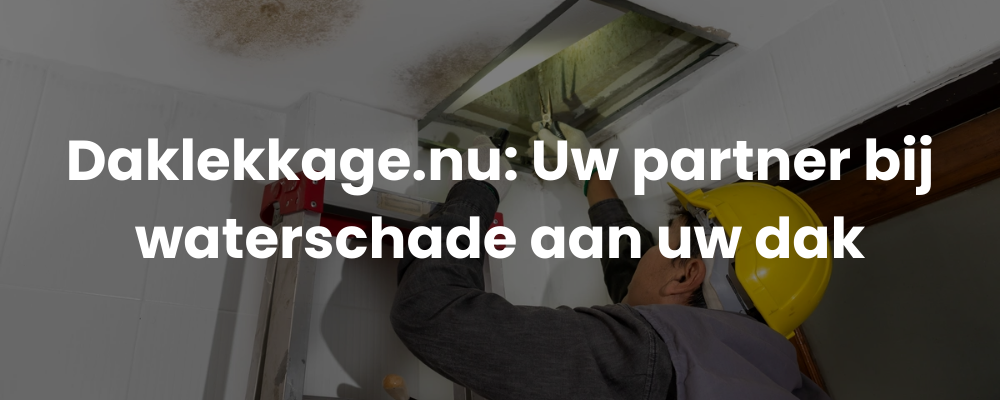 Daklekkage.nu: Uw partner bij waterschade aan uw dak