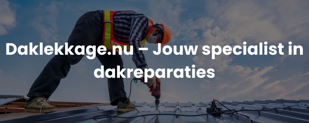 Daklekkage.nu - Jouw specialist in dakreparaties Daklekkage.nu - Jouw specialist in dakreparaties