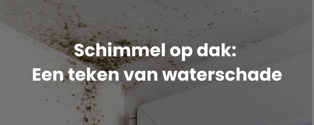 Schimmel op dak: Een teken van waterschade