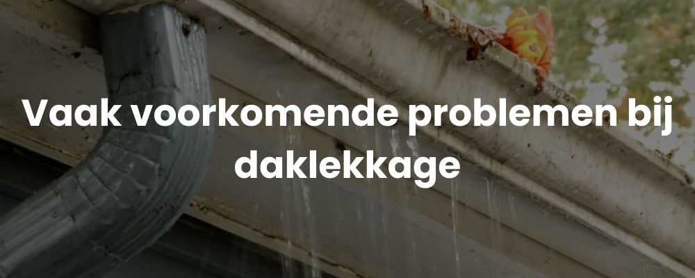 Vaak voorkomende problemen bij daklekkage