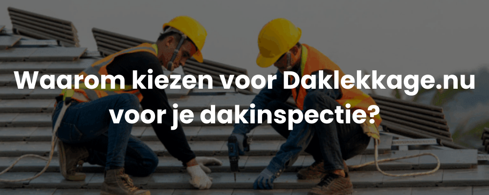 Waarom kiezen voor Daklekkage.nu voor je dakinspectie?