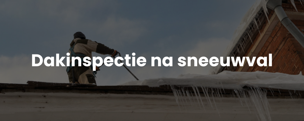 Dakinspectie na sneeuwval