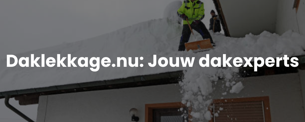 Daklekkage.nu: Jouw dakexperts