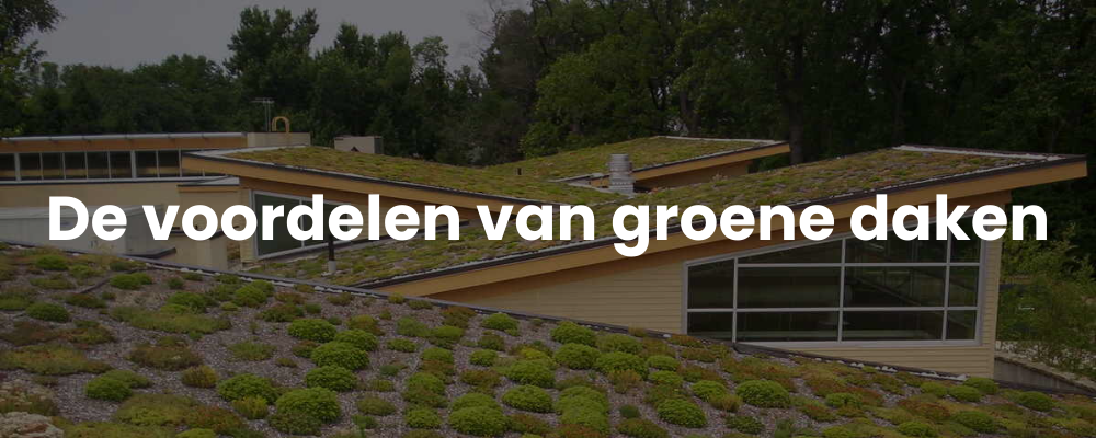 De voordelen van groene daken