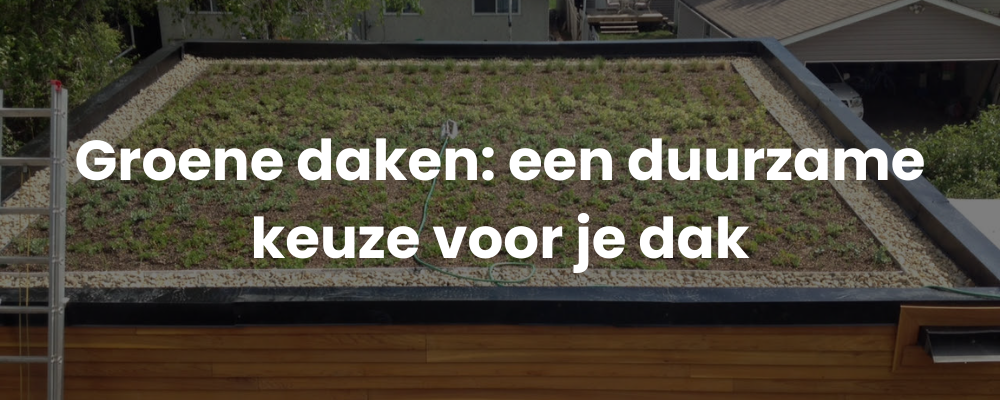 Groene daken: een duurzame keuze voor je dak Groene daken: een duurzame keuze voor je dak
