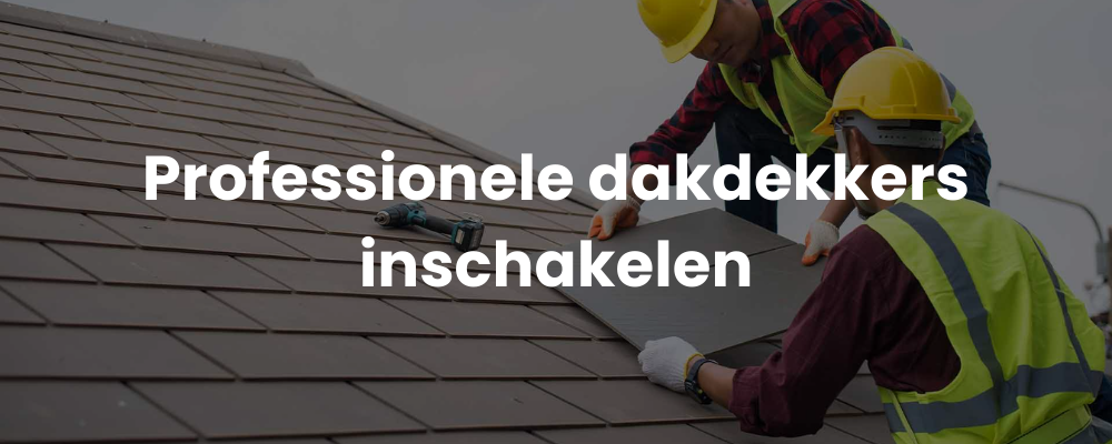 Professionele dakdekkers inschakelen