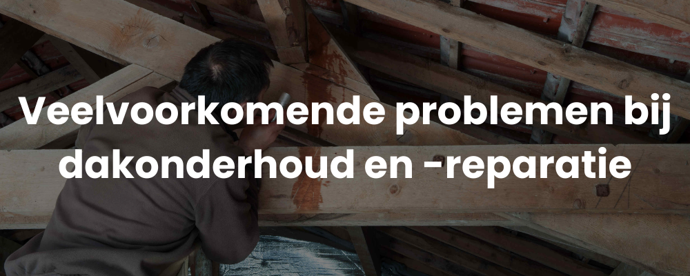 Veelvoorkomende problemen bij dakonderhoud en -reparatie