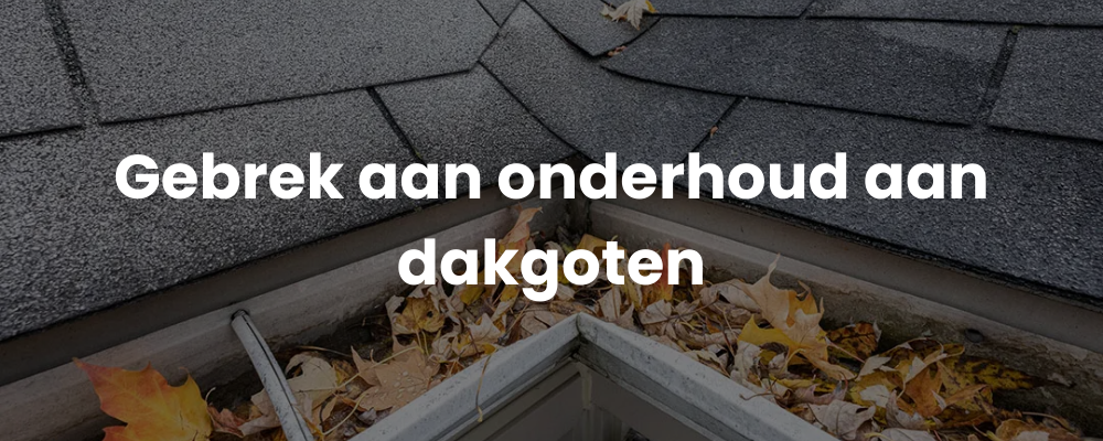 Gebrek aan onderhoud aan dakgoten Gebrek aan onderhoud aan dakgoten