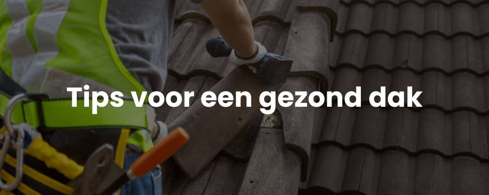 Tips voor een gezond dak