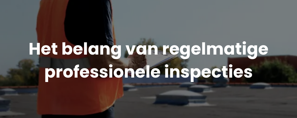 Het belang van regelmatige professionele inspecties