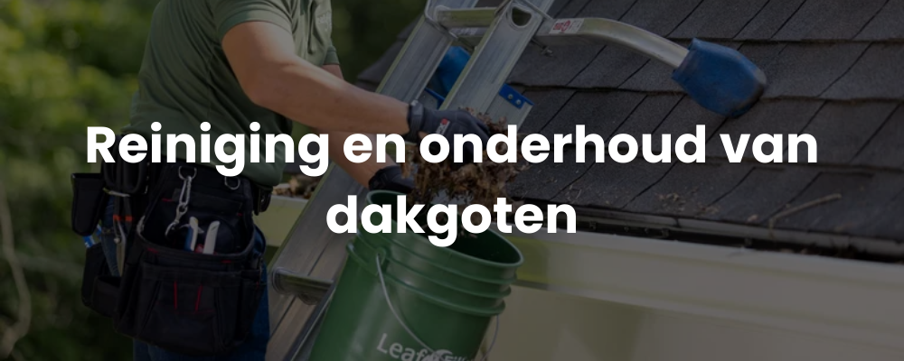 Reiniging en onderhoud van dakgoten