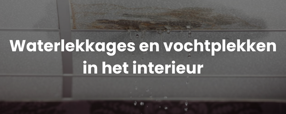 Waterlekkages en vochtplekken in het interieur
