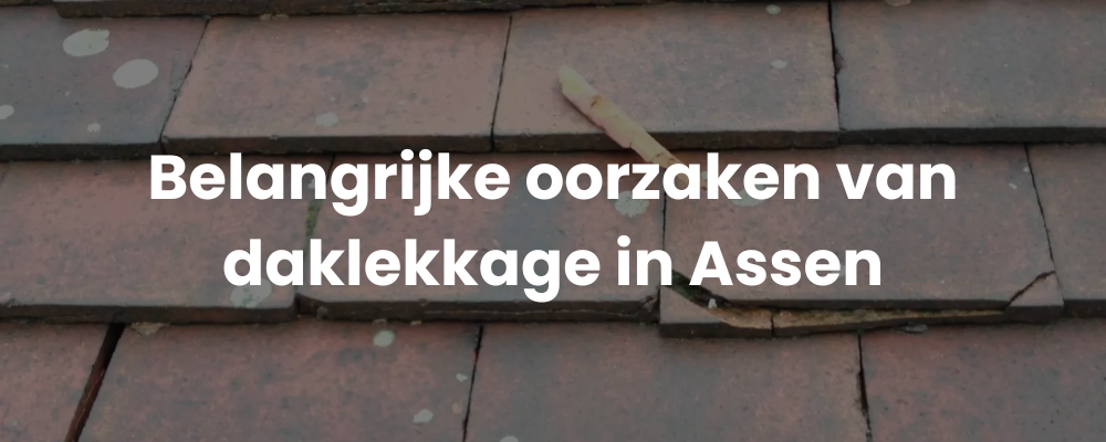 Belangrijke oorzaken van daklekkage in Assen