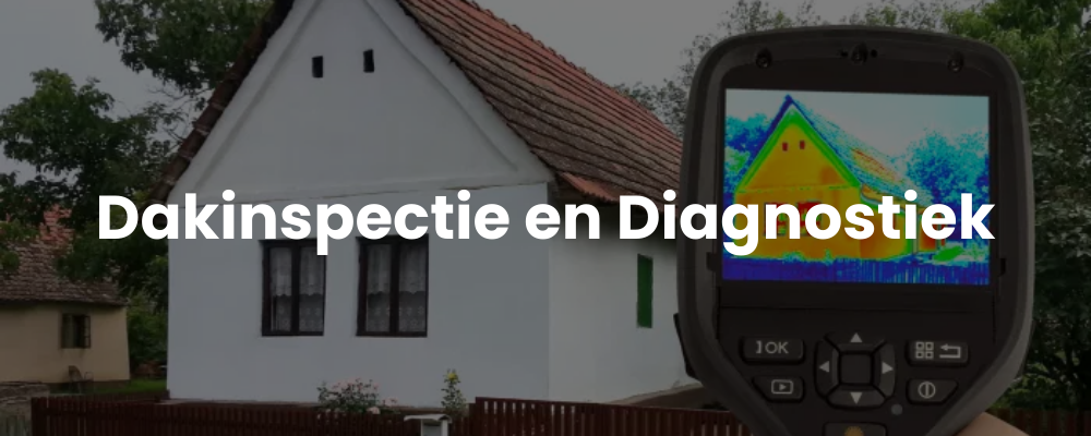 Dakinspectie en Diagnostiek