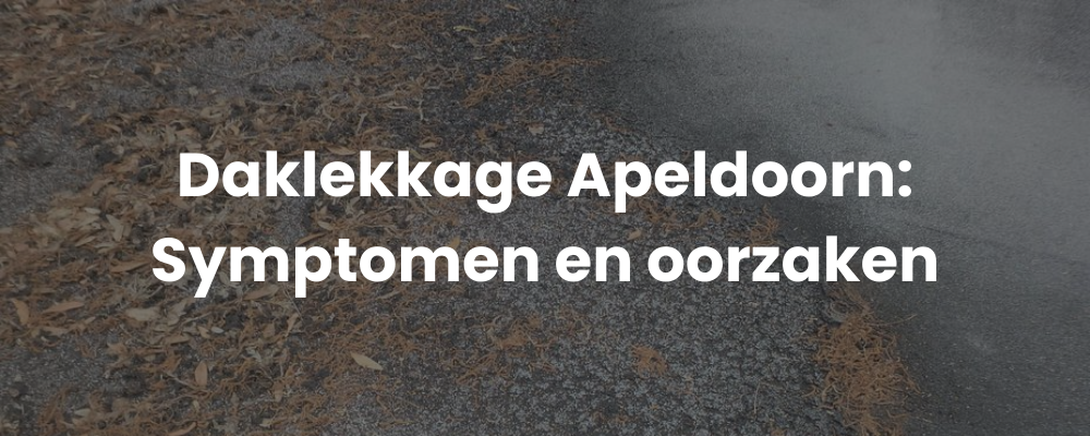 Daklekkage Apeldoorn: Symptomen en oorzaken