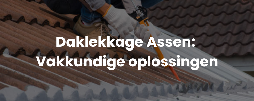 Daklekkage Assen: Vakkundige oplossingen