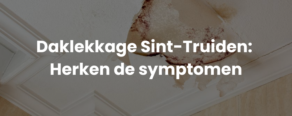 Daklekkage Sint-Truiden: Herken de symptomen