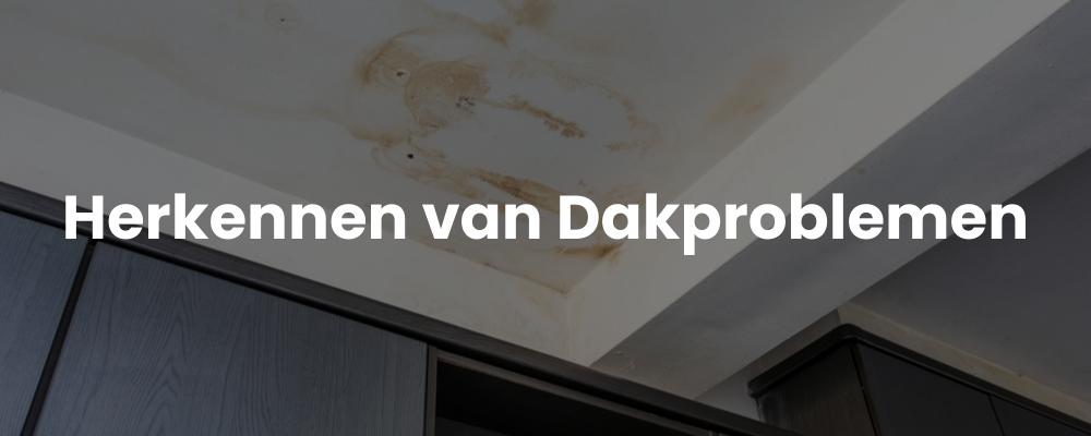 Herkennen van Dakproblemen