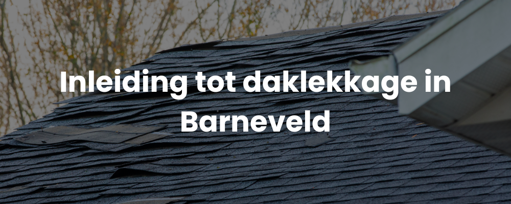 Inleiding tot daklekkage in Barneveld