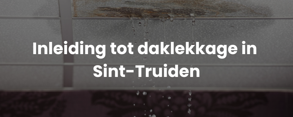 Inleiding tot daklekkage in Sint-Truiden