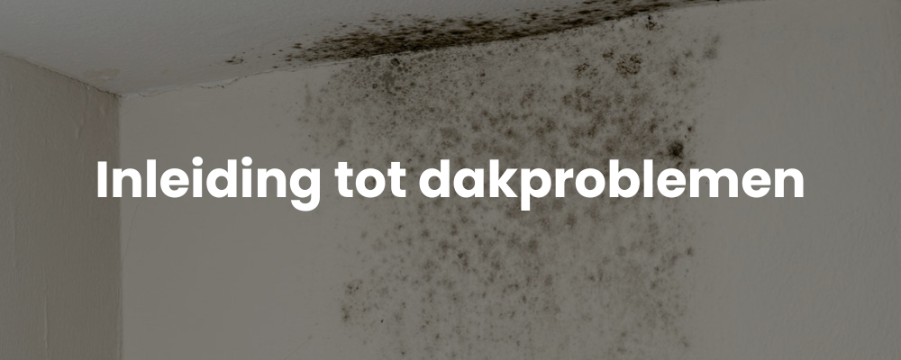 Inleiding tot dakproblemen Inleiding tot dakproblemen