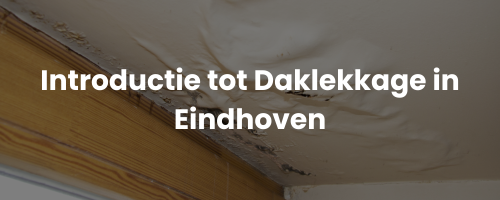 Introductie tot Daklekkage in Eindhoven
