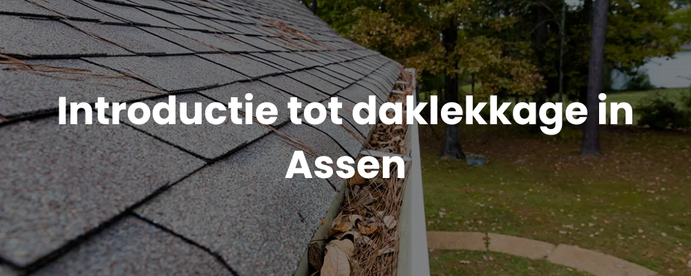 Introductie tot daklekkage in Assen