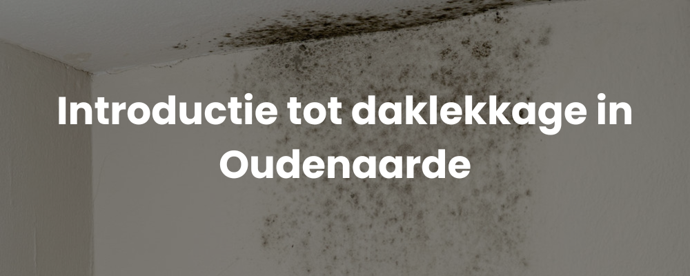 Introductie tot daklekkage in Oudenaarde