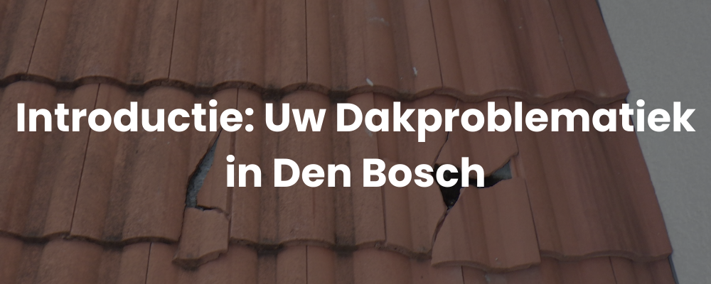 Introductie: Uw Dakproblematiek in Den Bosch