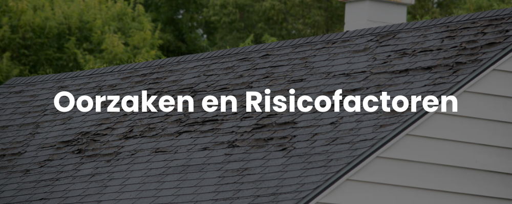 Oorzaken en Risicofactoren