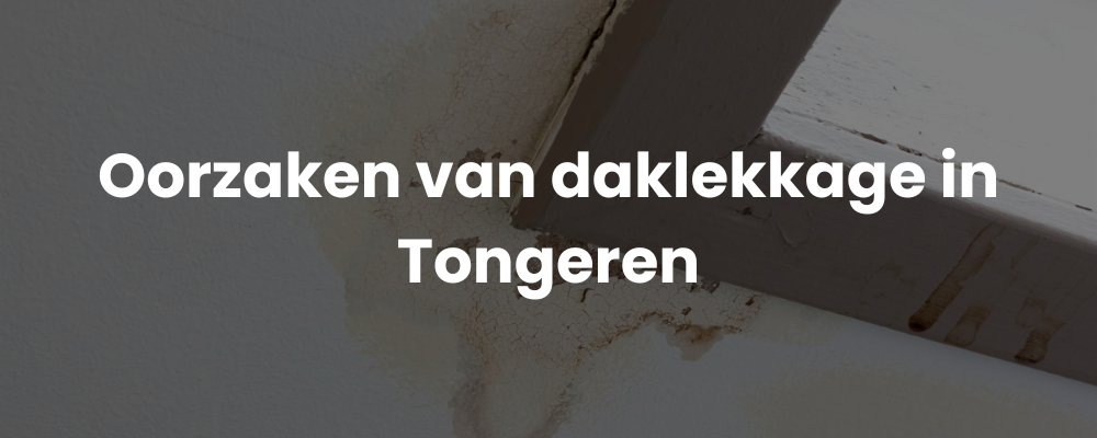 Oorzaken van daklekkage in Tongeren