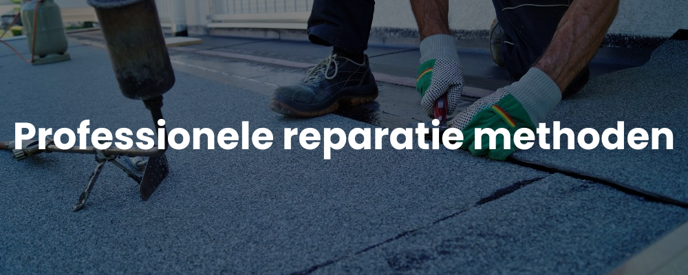 Professionele reparatie methoden
