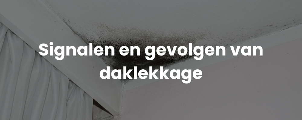 Signalen en gevolgen van daklekkage