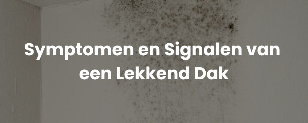 Symptomen en Signalen van een Lekkend Dak