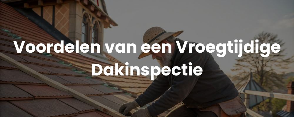 Voordelen van een Vroegtijdige Dakinspectie