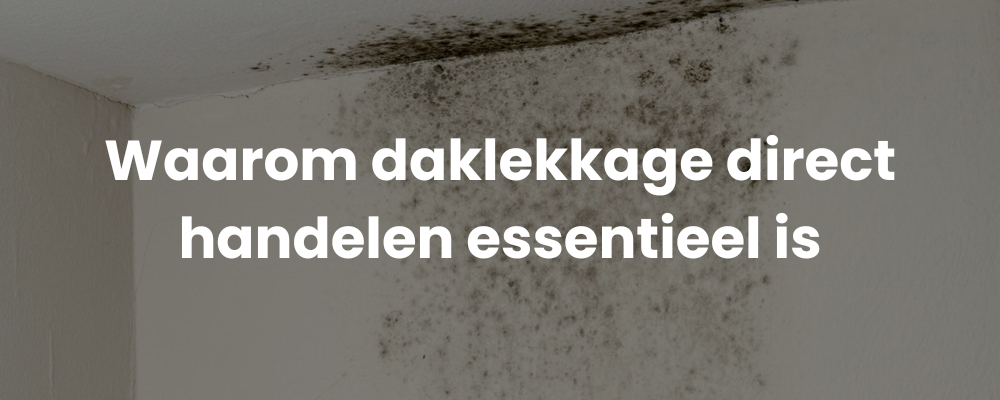 Waarom daklekkage direct handelen essentieel is