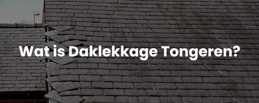 Wat is Daklekkage Tongeren?