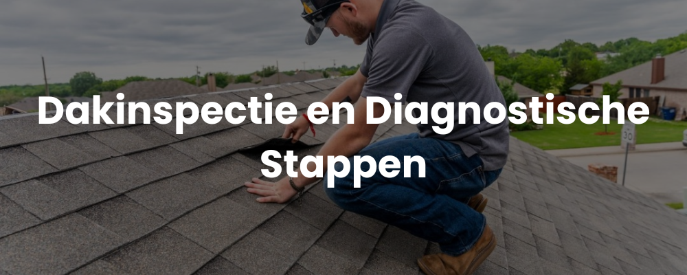 Dakinspectie en Diagnostische Stappen