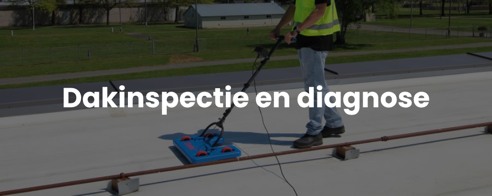 Dakinspectie en diagnose
