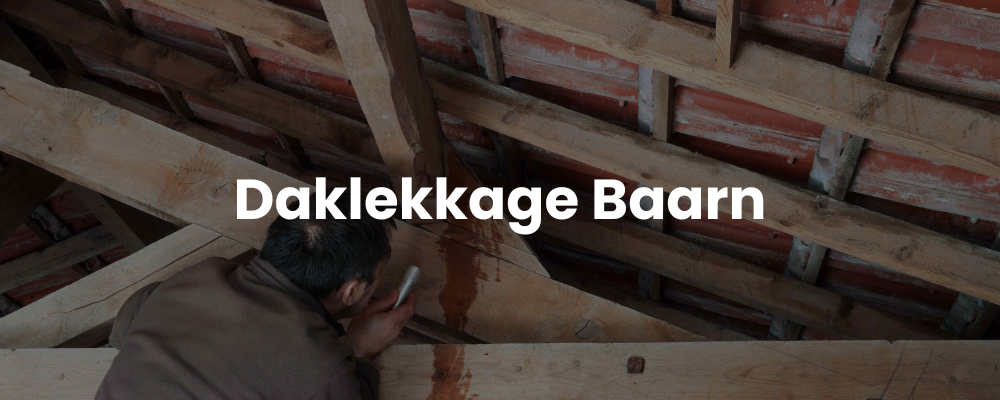 Daklekkage Baarn