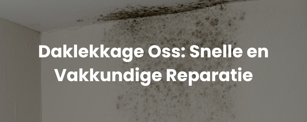 Daklekkage Oss: Snelle en Vakkundige Reparatie