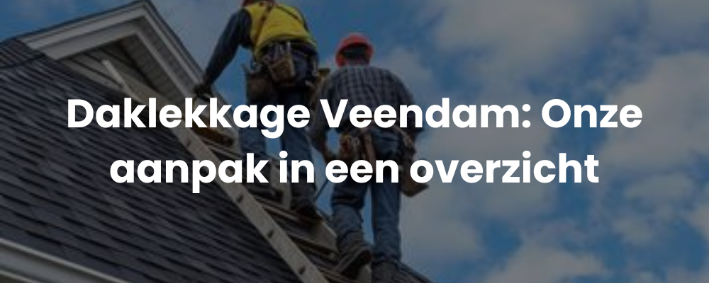 Daklekkage Veendam: Onze aanpak in een overzicht
