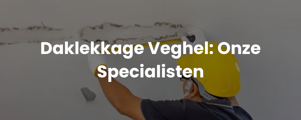 Daklekkage Veghel: Onze Specialisten